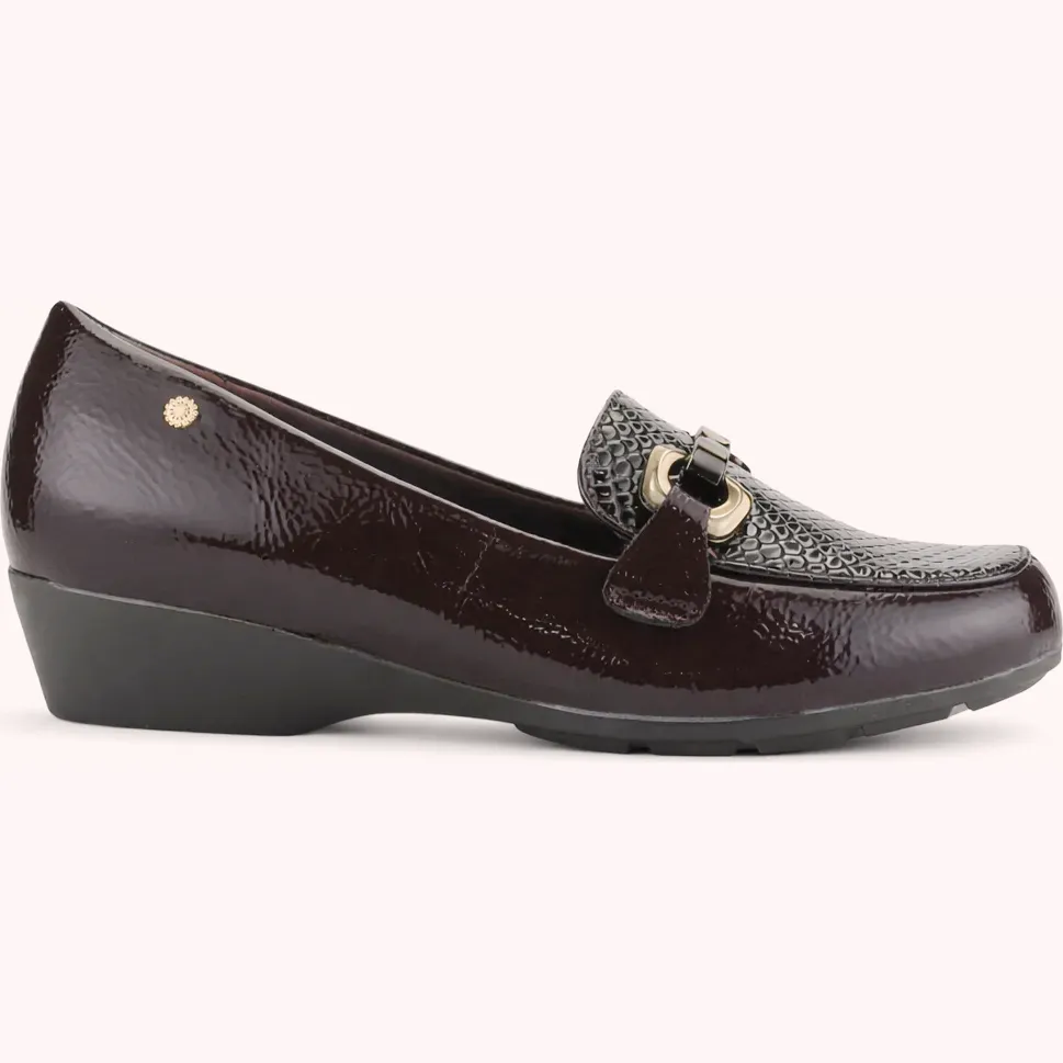 Chalada Zapatos 12dana22