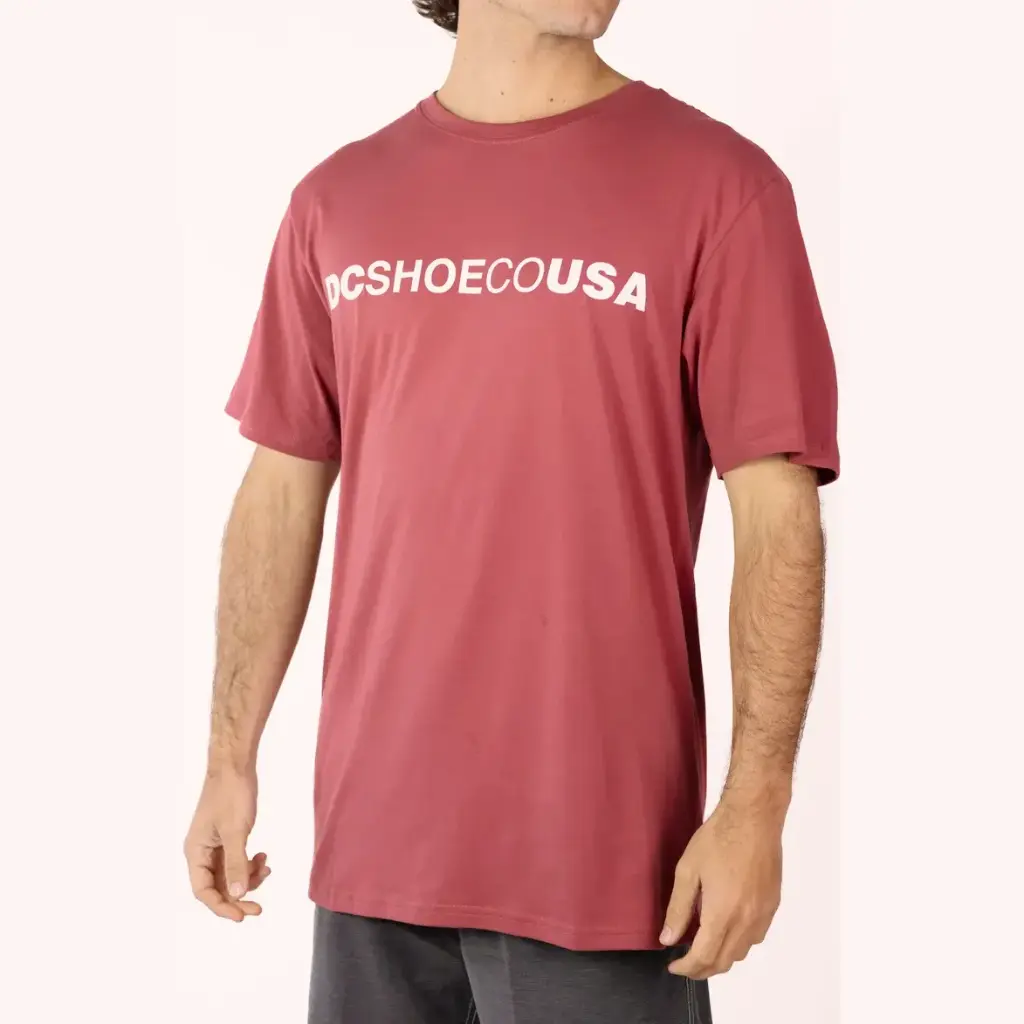 DC Shoes Poleras Logo Pqc