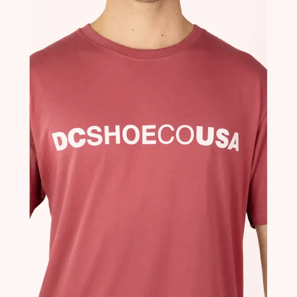DC Shoes Poleras Logo Pqc
