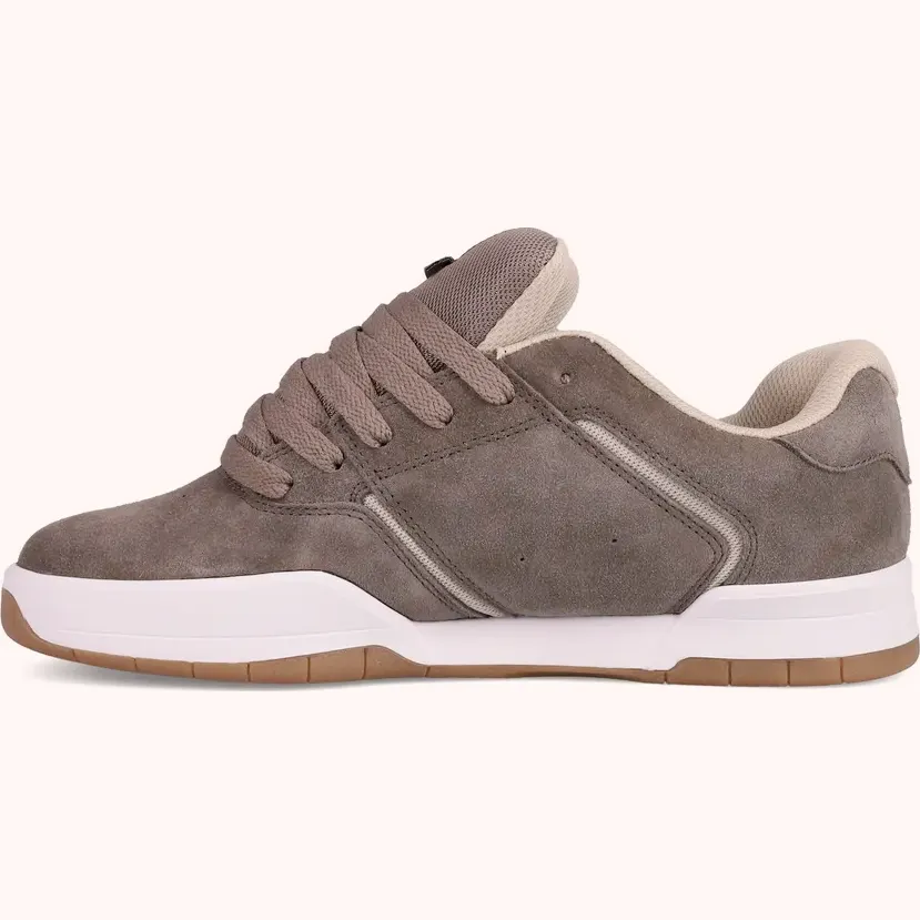 DC Shoes Zapatillas Central 301