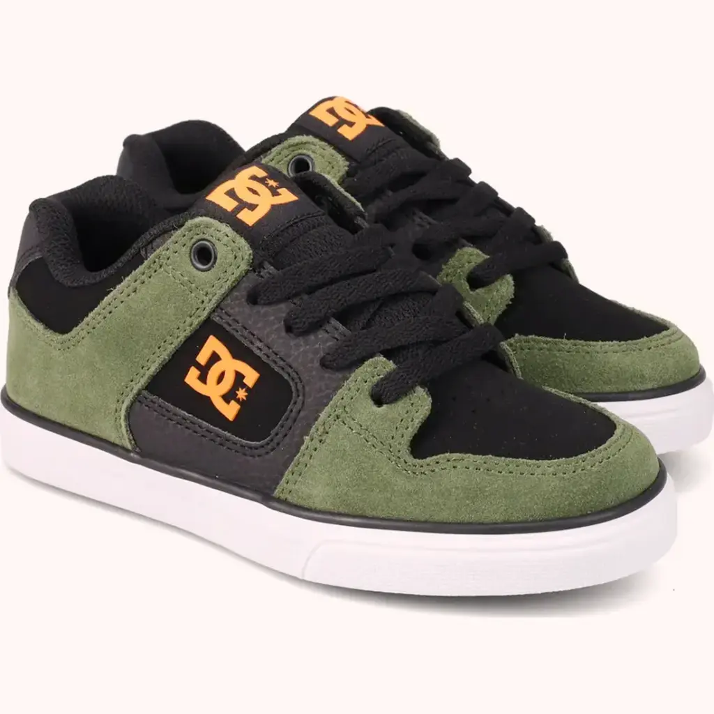 DC Shoes Zapatillas Niños Pure 301