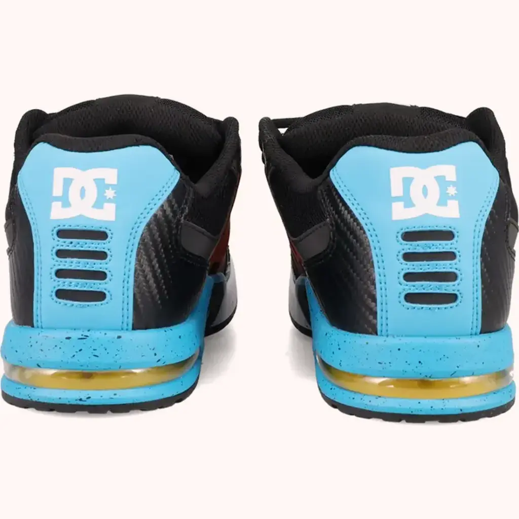 DC Shoes Zapatillas Hombres AT-2 SE