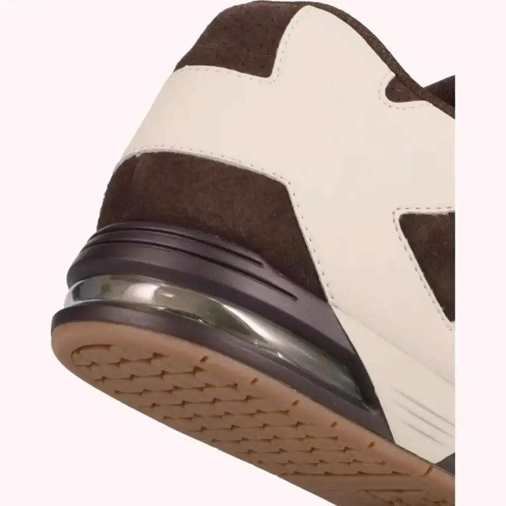 DC Shoes Zapatillas Command SE 210