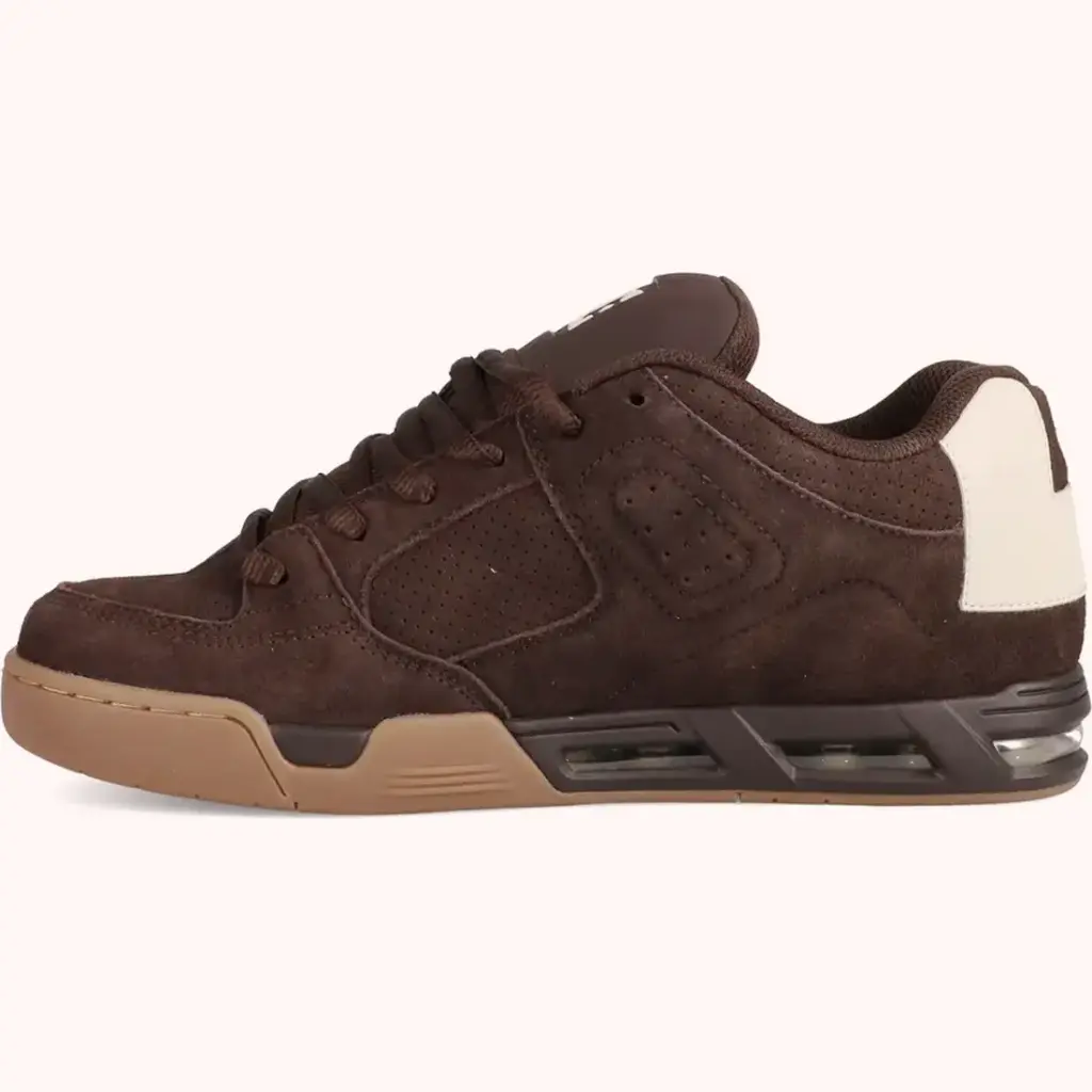 DC Shoes Zapatillas Command SE 210