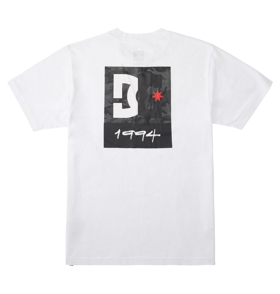 DC Shoes Poleras Hombres Dc Split Star Szs0