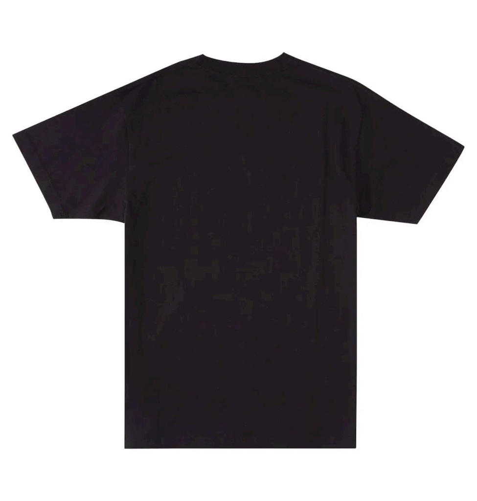 DC Shoes Poleras Hombres Dc Star Fill Kvj5