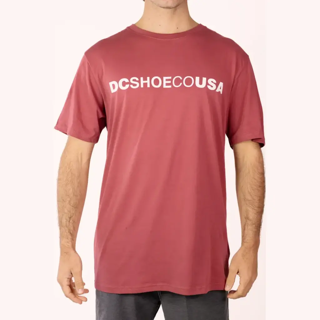 DC Shoes Poleras Logo Pqc