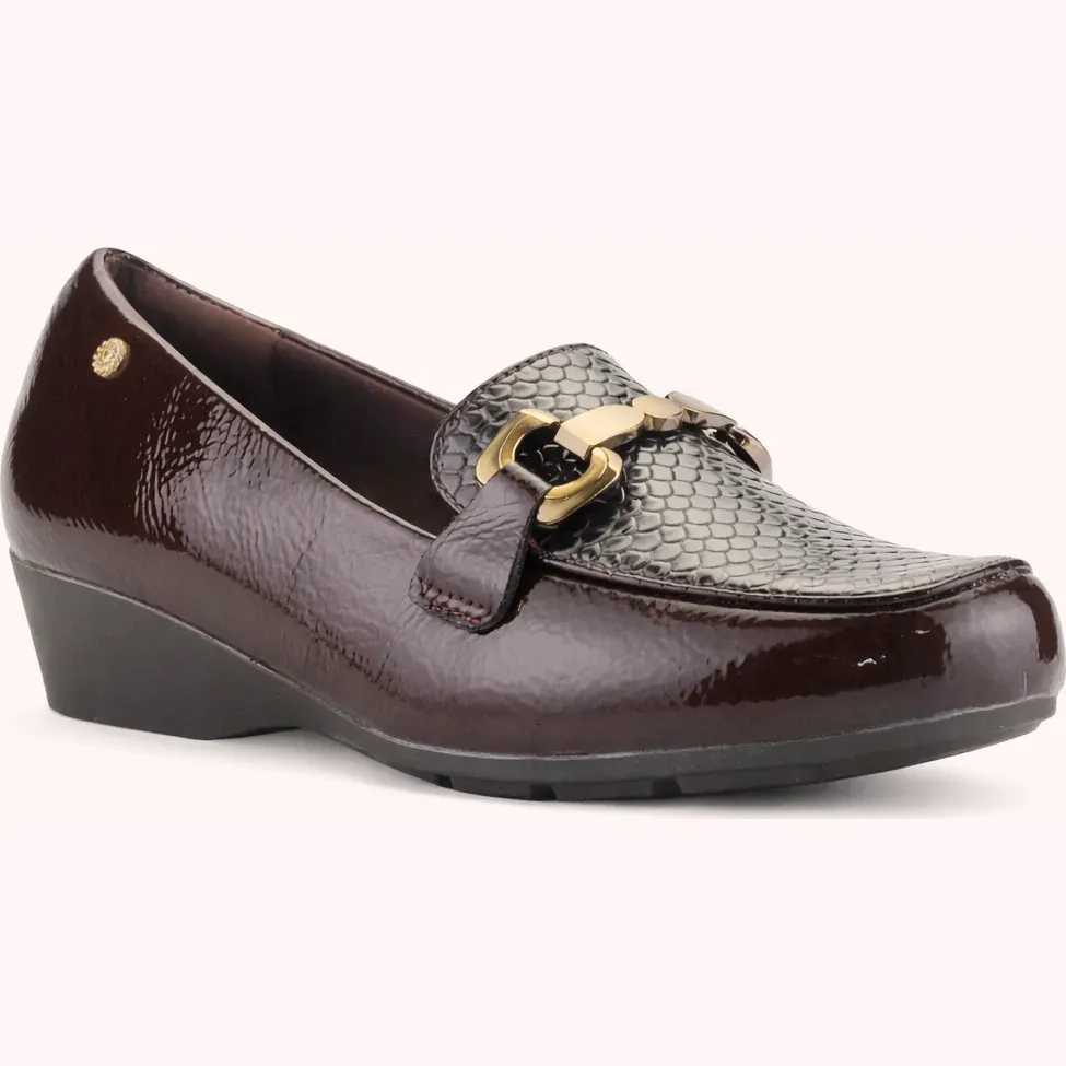 Chalada Zapatos 12dana22