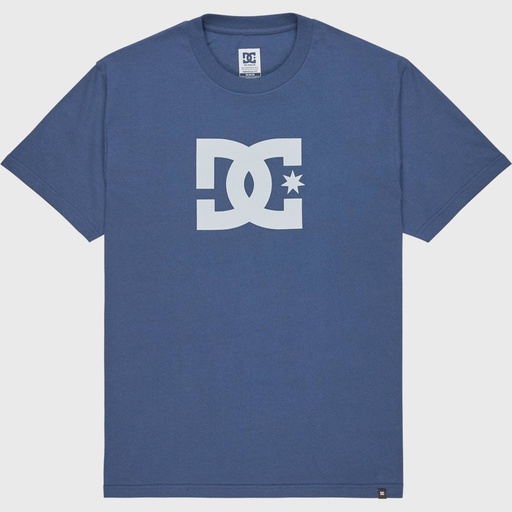 DC Shoes Poleras Dc Star Ss Brq