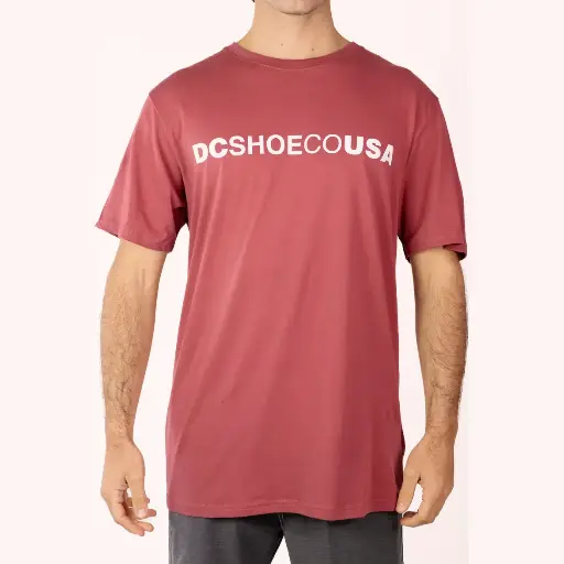 DC Shoes Poleras Logo Pqc