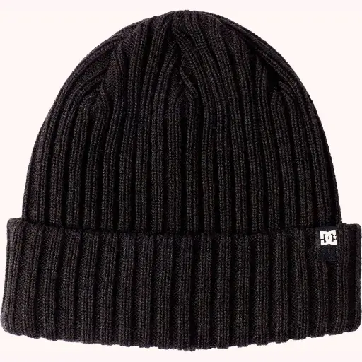 DC Shoes Gorros Fish N Destroy 2