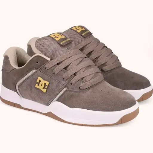 DC Shoes Zapatillas Central 301